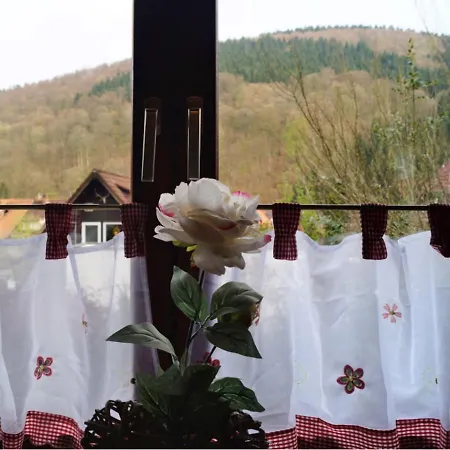 Apartamento Comfortable Near Ski Area In Hezberg