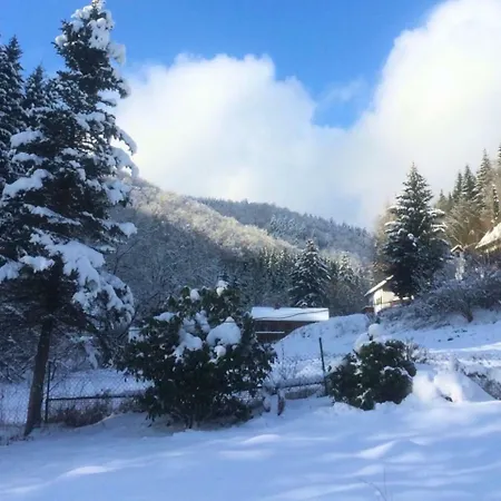 Comfortable Near Ski Area In Hezberg Apartamento