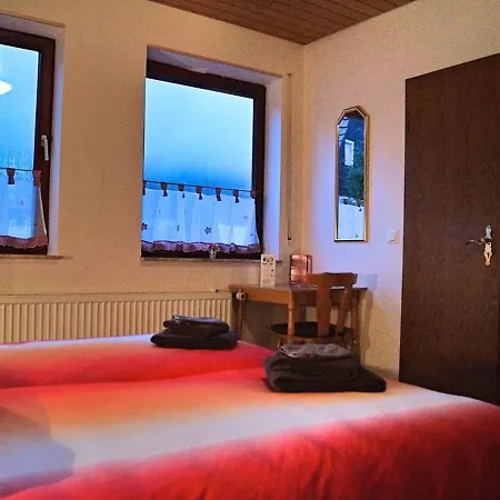 Apartamento Comfortable Near Ski Area In Hezberg *