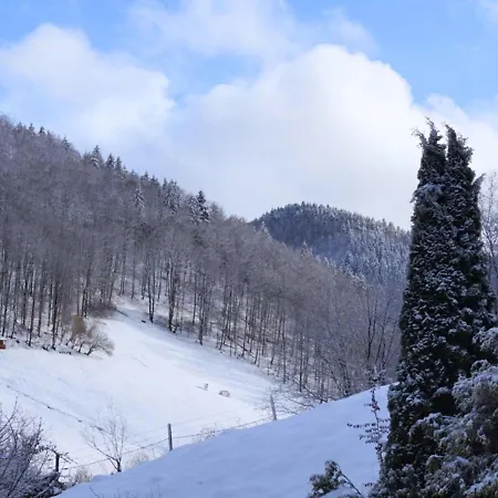 Comfortable Near Ski Area In Hezberg Sieber